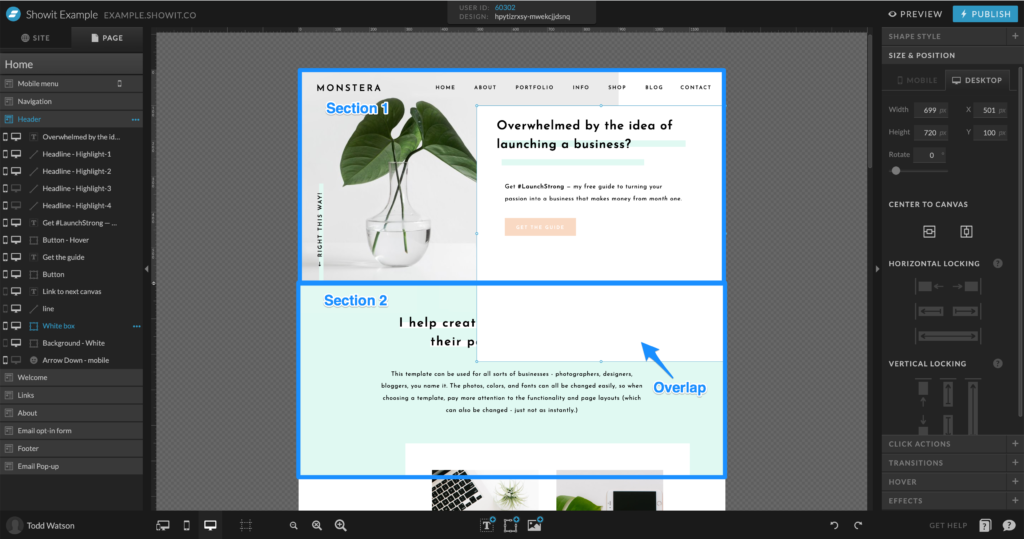Pasted_Image_9_30_22__5_28_PM - Showit Showit section overlap